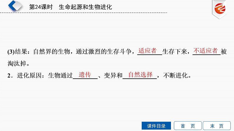 初中生物中考复习 第24单元　生命起源和生物进化课件PPT第8页