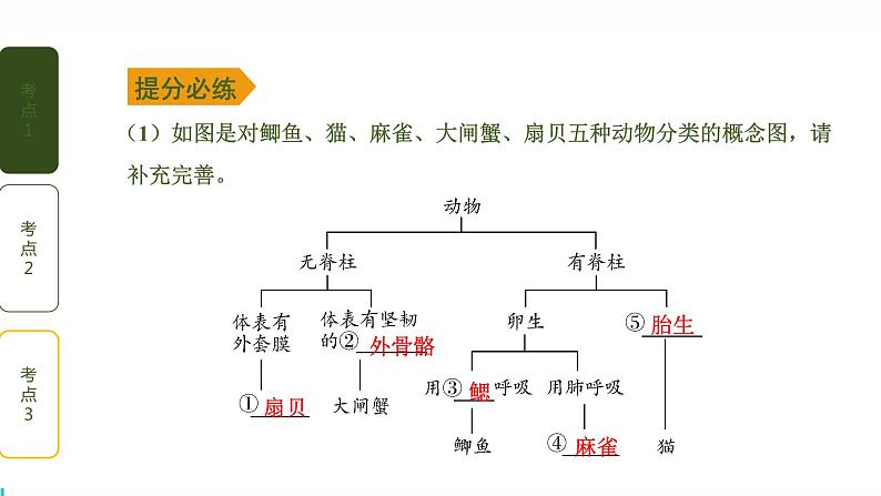 初中生物中考复习 第六单元 生物的多样性及其保护课件PPT04