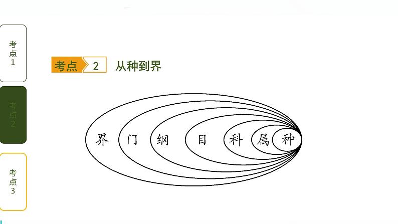 初中生物中考复习 第六单元 生物的多样性及其保护课件PPT06