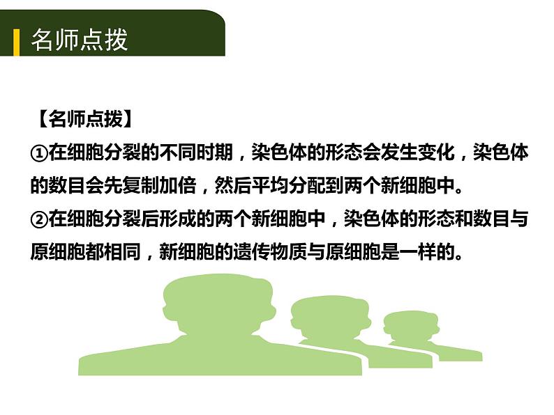 初中生物中考复习 二、（二）多细胞生物体的结构层次课件PPT第6页