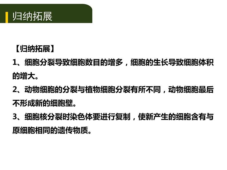 初中生物中考复习 二、（二）多细胞生物体的结构层次课件PPT第7页