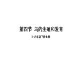 人教版八年级生物下册--7.1.4 鸟的生殖和发育（课件）