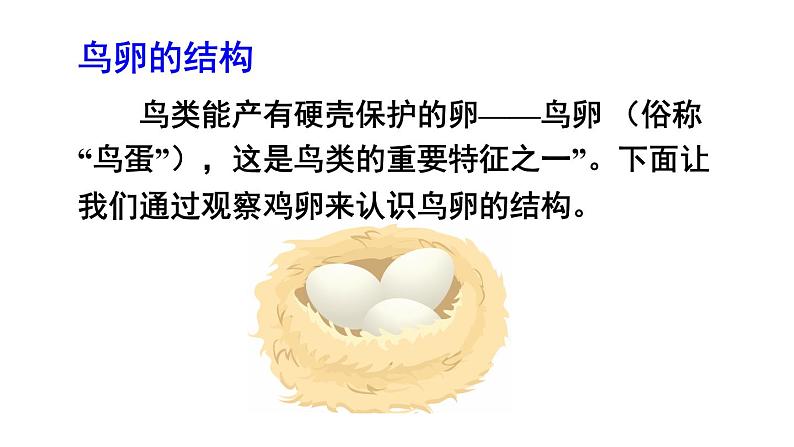 人教版八年级生物下册--7.1.4 鸟的生殖和发育（课件）第4页