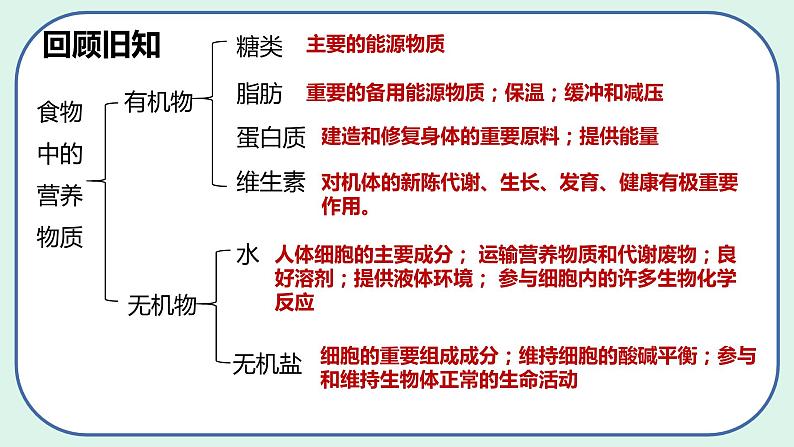 4.2.2 消化和吸收（第1课时）-初中生物七年级下册 课件+练习（人教版新课标）03