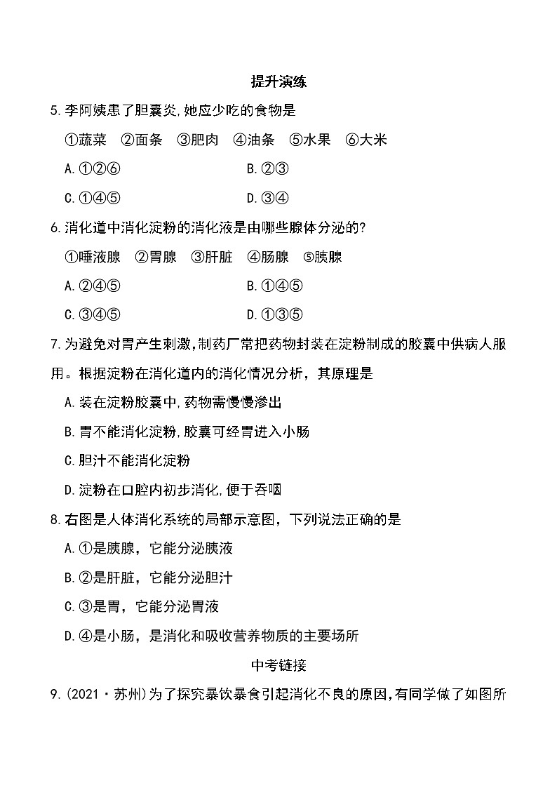 4.2.2 消化和吸收（第1课时）-初中生物七年级下册 课件+练习（人教版新课标）02