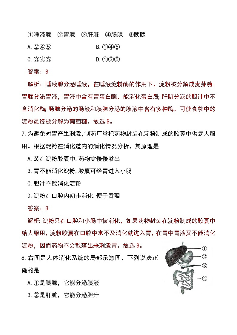 4.2.2 消化和吸收（第1课时）-初中生物七年级下册 课件+练习（人教版新课标）03