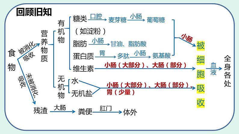 4.2.3 合理营养与食品安全-初中生物七年级下册 课件+练习（人教版新课标）03