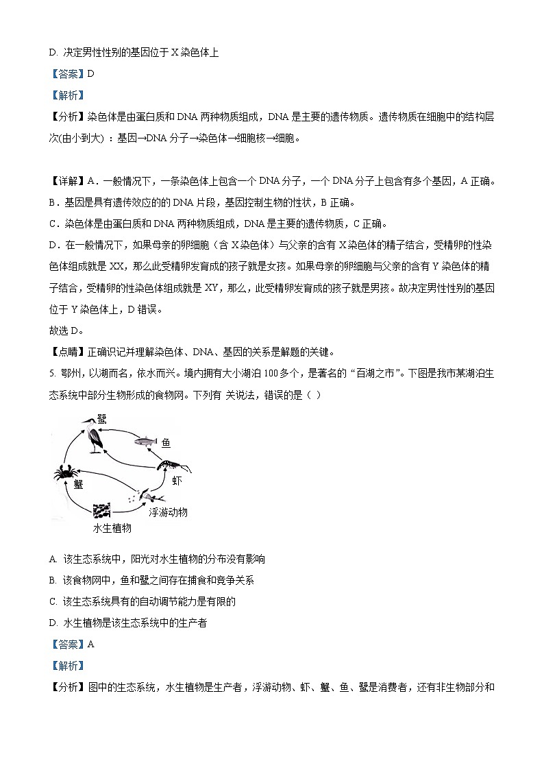 初中生物中考复习 精品解析：湖北省鄂州市2021年中考生物试题（解析版）第3页