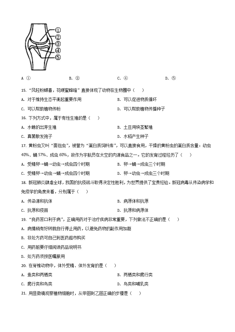 初中生物中考复习 精品解析：湖南娄底市2020年中考生物试题（原卷版）03