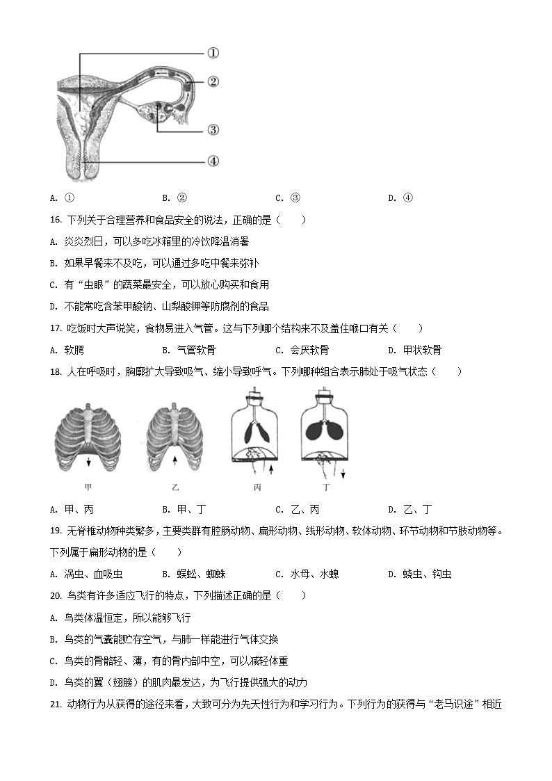 初中生物中考复习 精品解析：湖南省郴州市2020年中考生物试题（原卷版）03