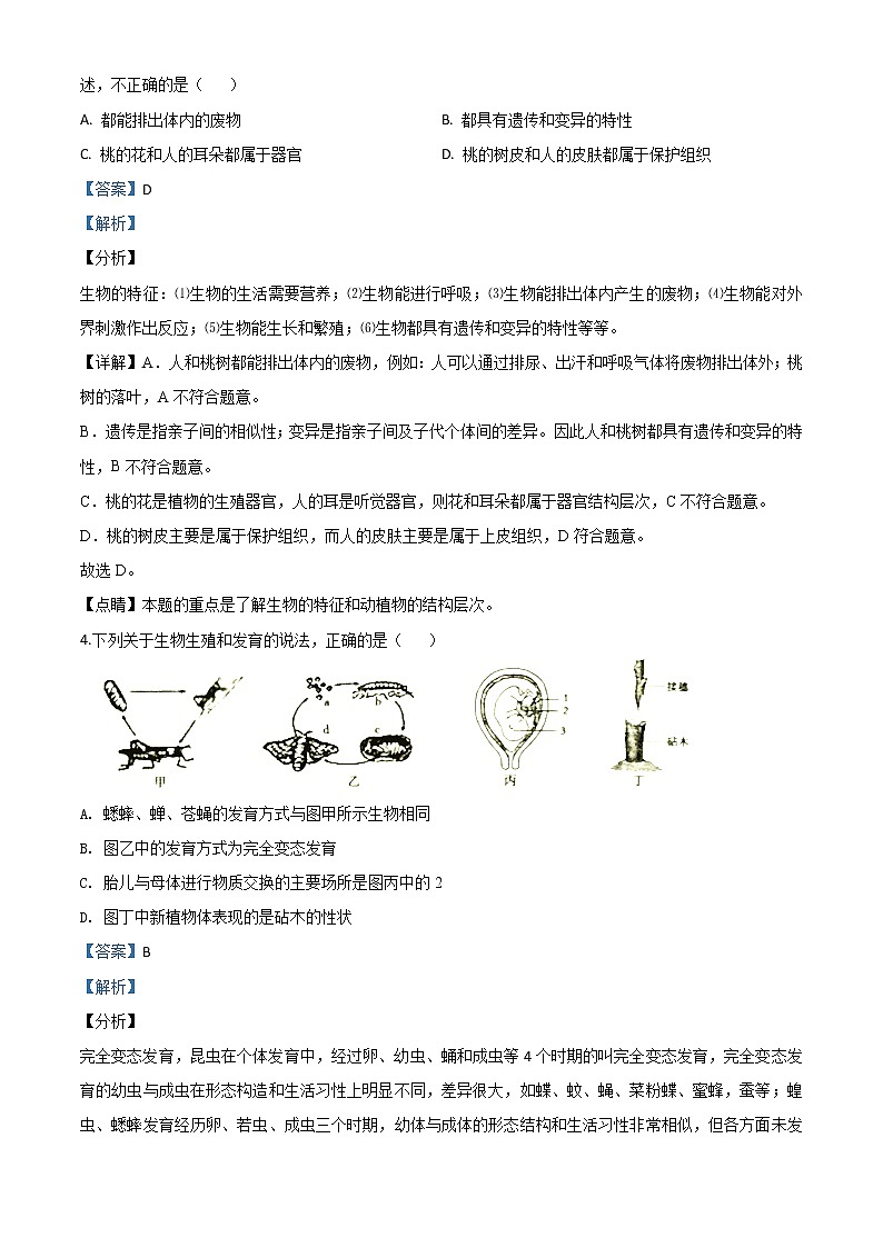 初中生物中考复习 精品解析：湖南省衡阳市2020中考生物试题（解析版）02
