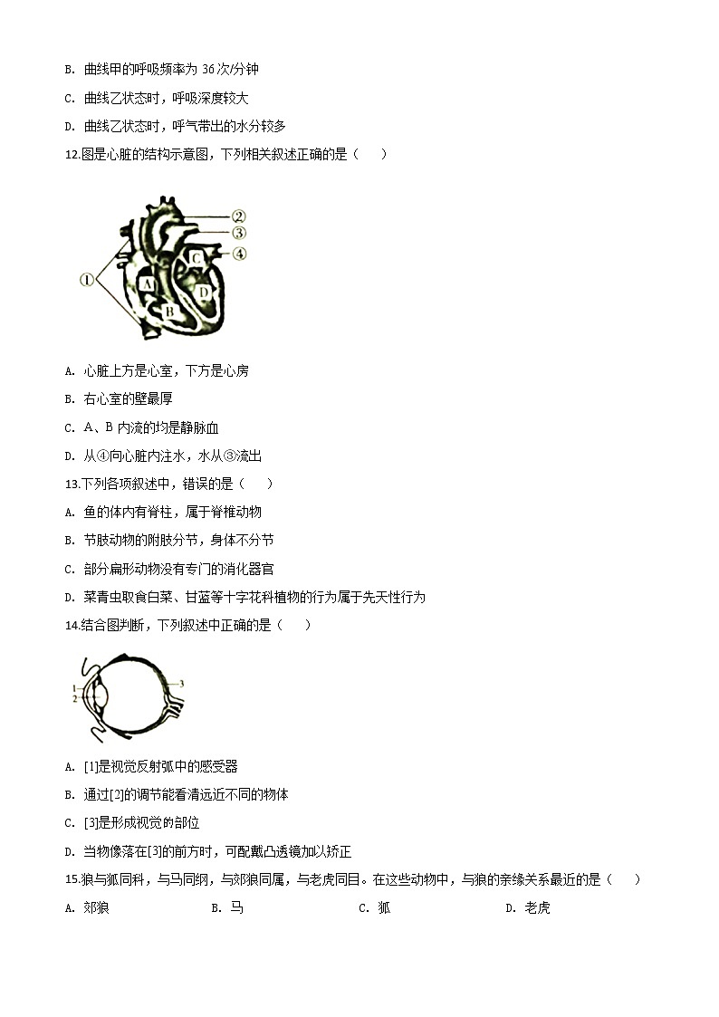 初中生物中考复习 精品解析：湖南省衡阳市2020中考生物试题（原卷版）第3页
