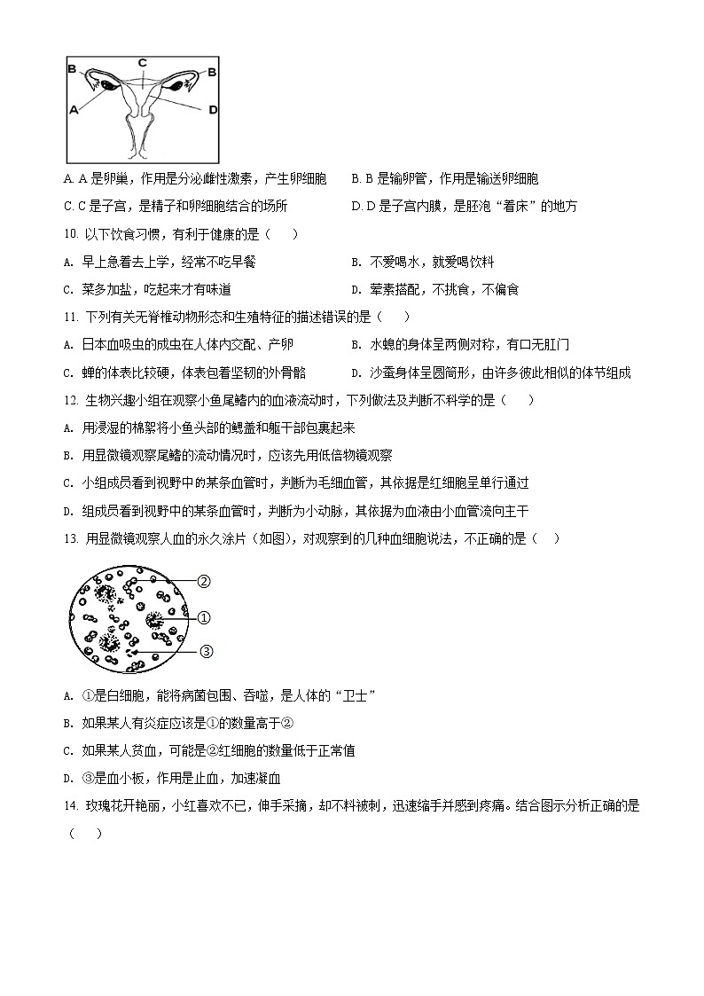 初中生物中考复习 精品解析：湖南省娄底市2021年中考生物试题（原卷版）03