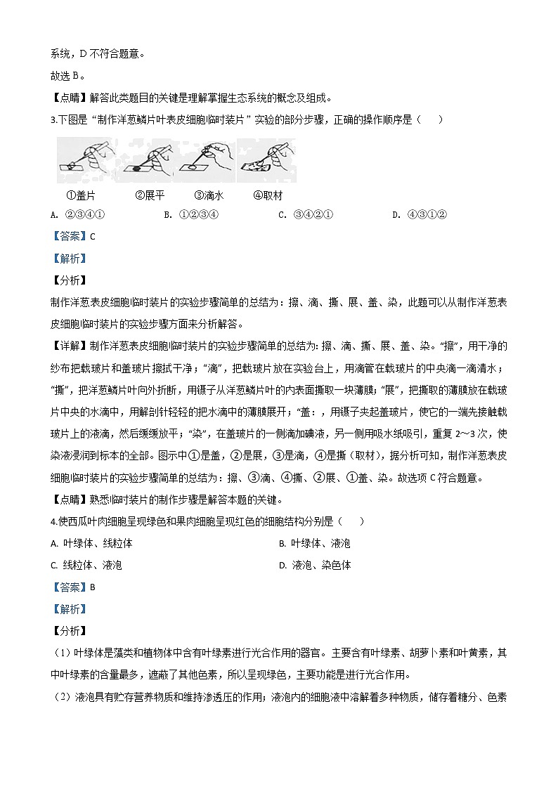 初中生物中考复习 精品解析：湖南省邵阳市2020年中考生物试题（解析版）第2页