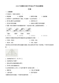 初中生物中考复习 精品解析：湖南省邵阳市2020年中考生物试题（原卷版）