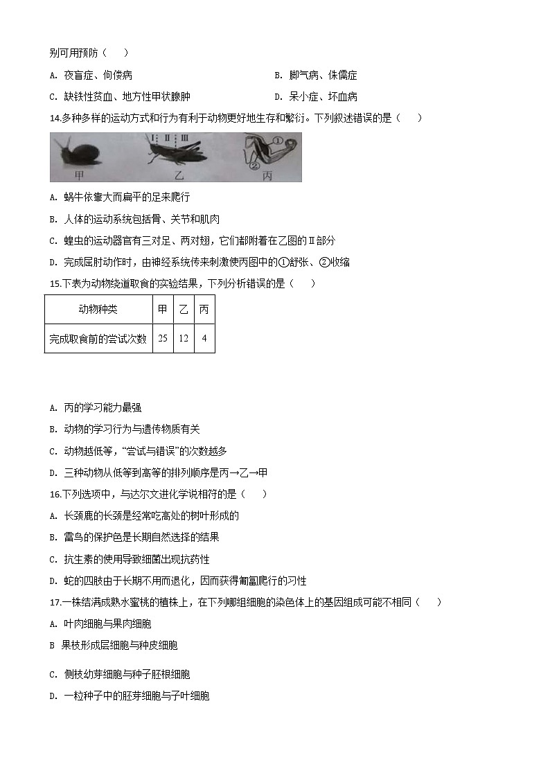 初中生物中考复习 精品解析：湖南省湘潭市2020年中考生物试题（原卷版）03