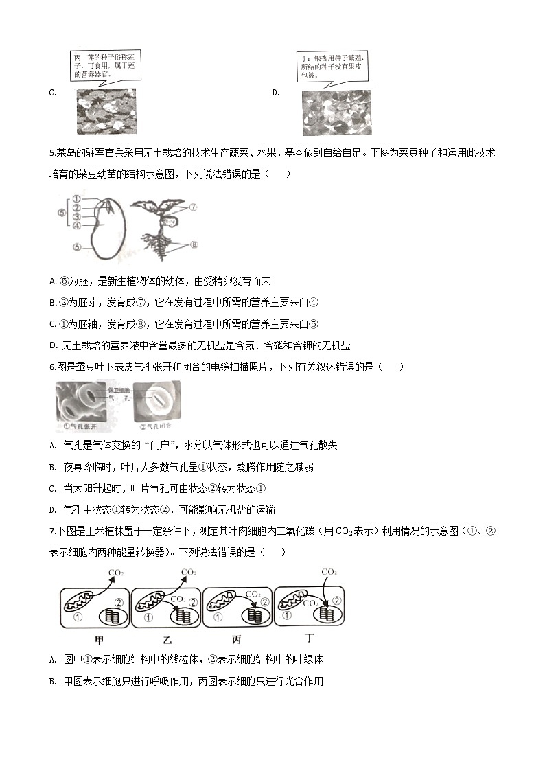 初中生物中考复习 精品解析：湖南省张家界市2020年中考生物试题（原卷版）02