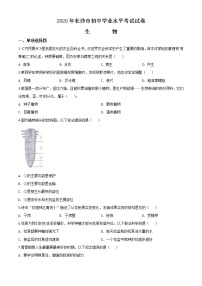 初中生物中考复习 精品解析：湖南省长沙市2020年中考生物试题（原卷版）