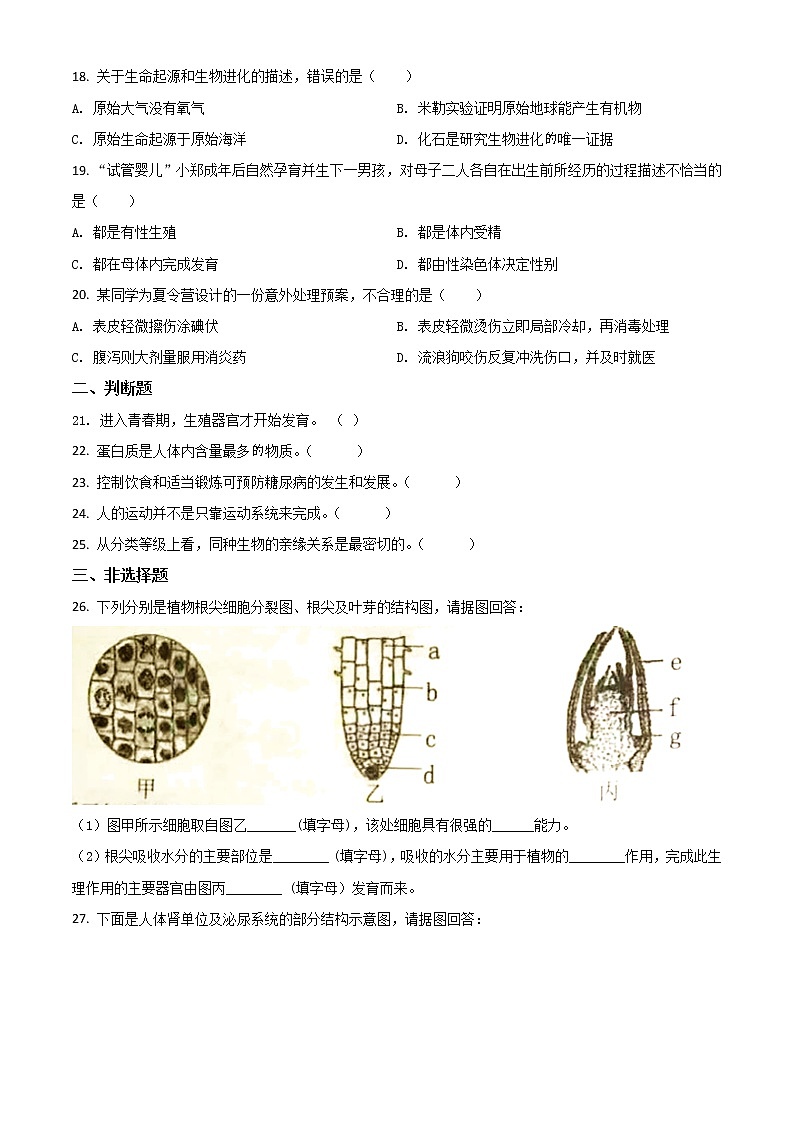 初中生物中考复习 精品解析：湖南岳阳市2020年中考生物试题（原卷版）第3页