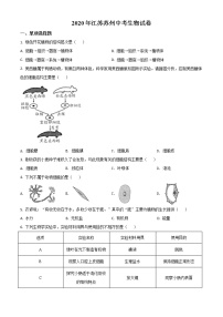 初中生物中考复习 精品解析：江苏省苏州市2020年学业考试生物试题（原卷版）