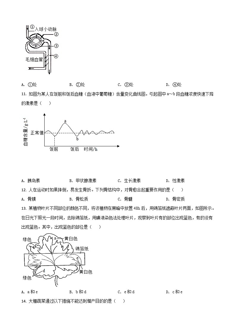 初中生物中考复习 精品解析：江苏省苏州市2020年学业考试生物试题（原卷版）03