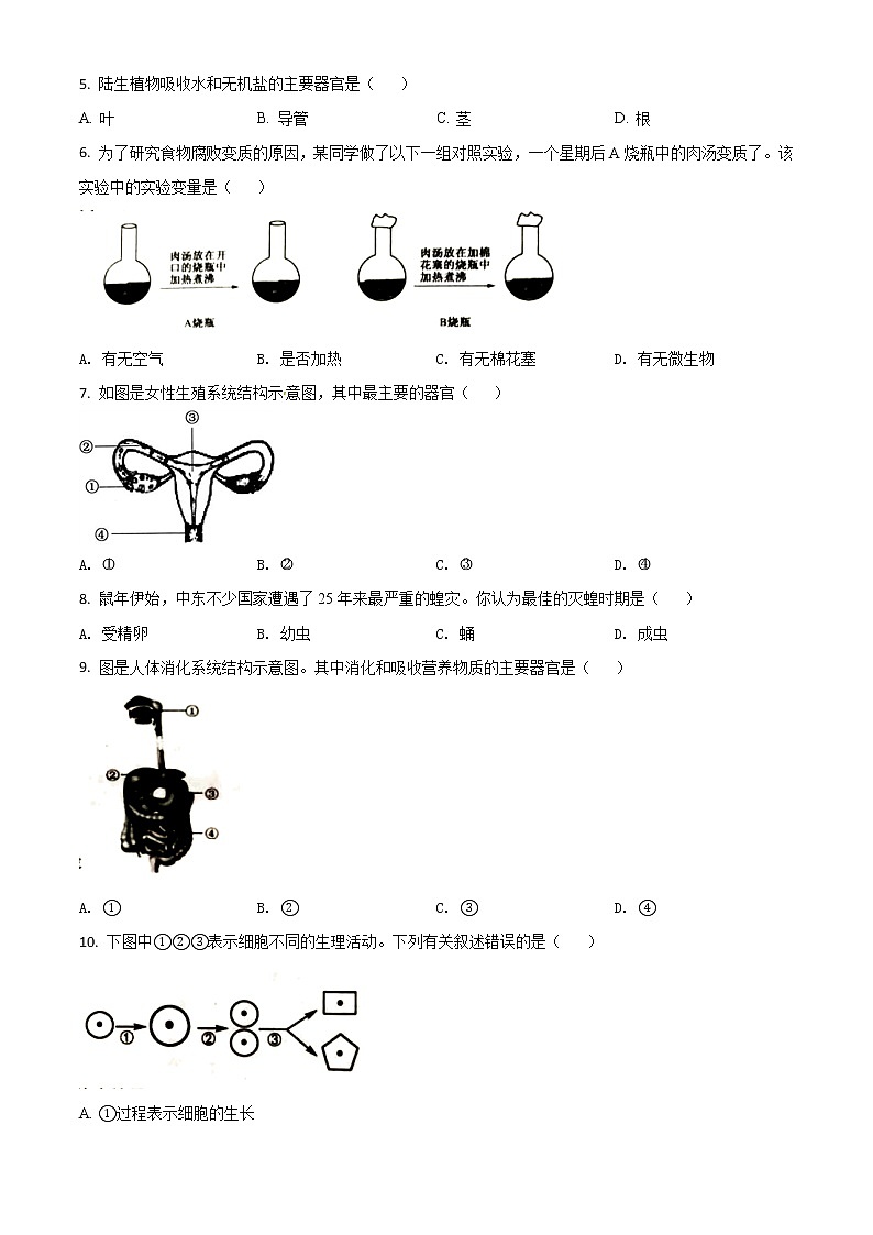 初中生物中考复习 精品解析：江苏省盐城市2020年中考生物试题（原卷版）02