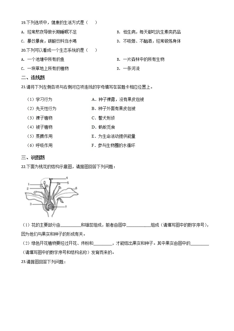 初中生物中考复习 精品解析：辽宁省沈阳市2020年中考生物试题（原卷版）03