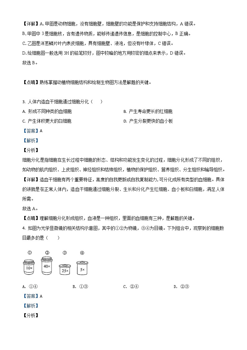 初中生物中考复习 精品解析：内蒙古赤峰市2020年中考生物试题（解析版）02