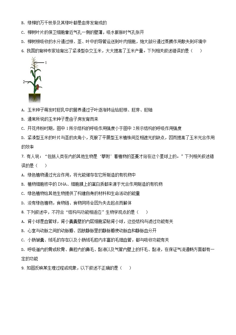 初中生物中考复习 精品解析：内蒙古呼和浩特市2020年中考生物试题（原卷版）02