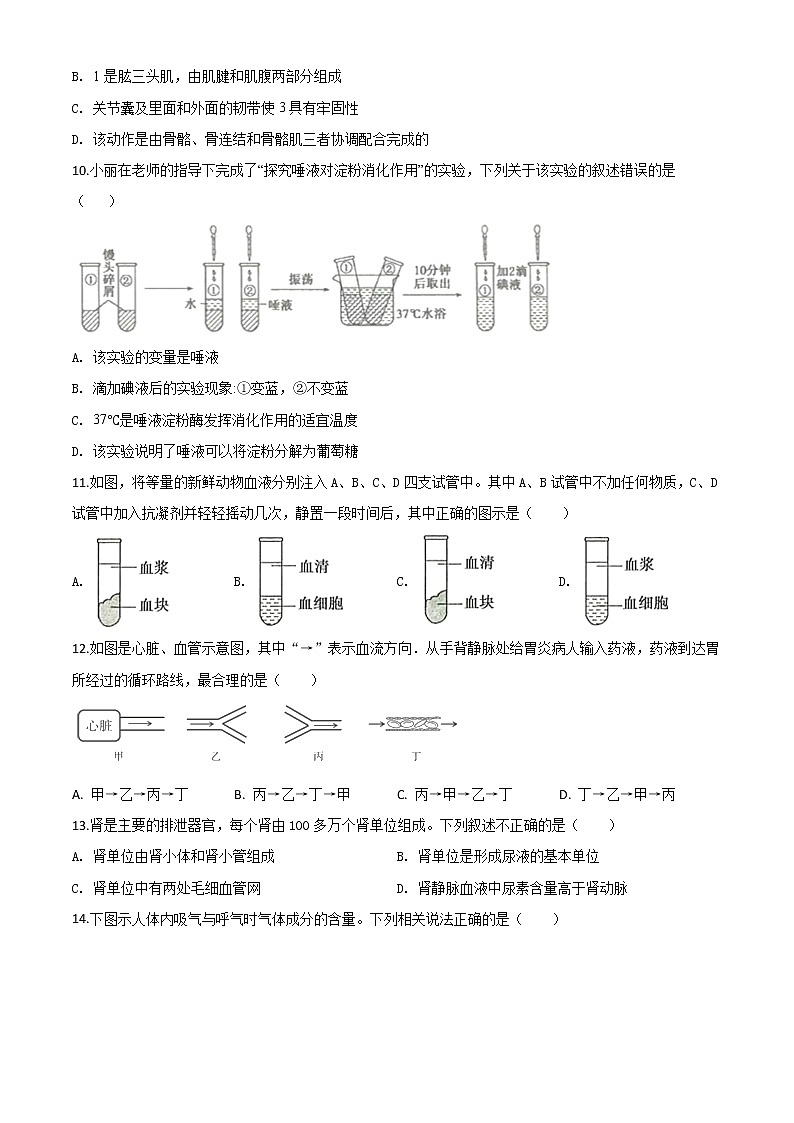 初中生物中考复习 精品解析：山东省滨州市2020年中考生物试题（原卷版）03