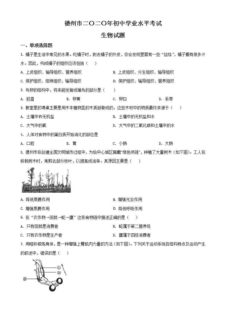 初中生物中考复习 精品解析：山东省德州市2020中考生物试题（原卷版）01