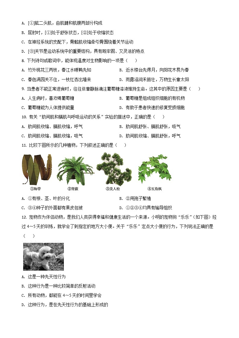 初中生物中考复习 精品解析：山东省德州市2020中考生物试题（原卷版）02