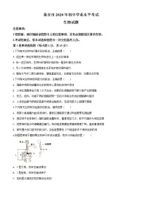 初中生物中考复习 精品解析：山东省泰安市2020年中考生物试题（原卷版）