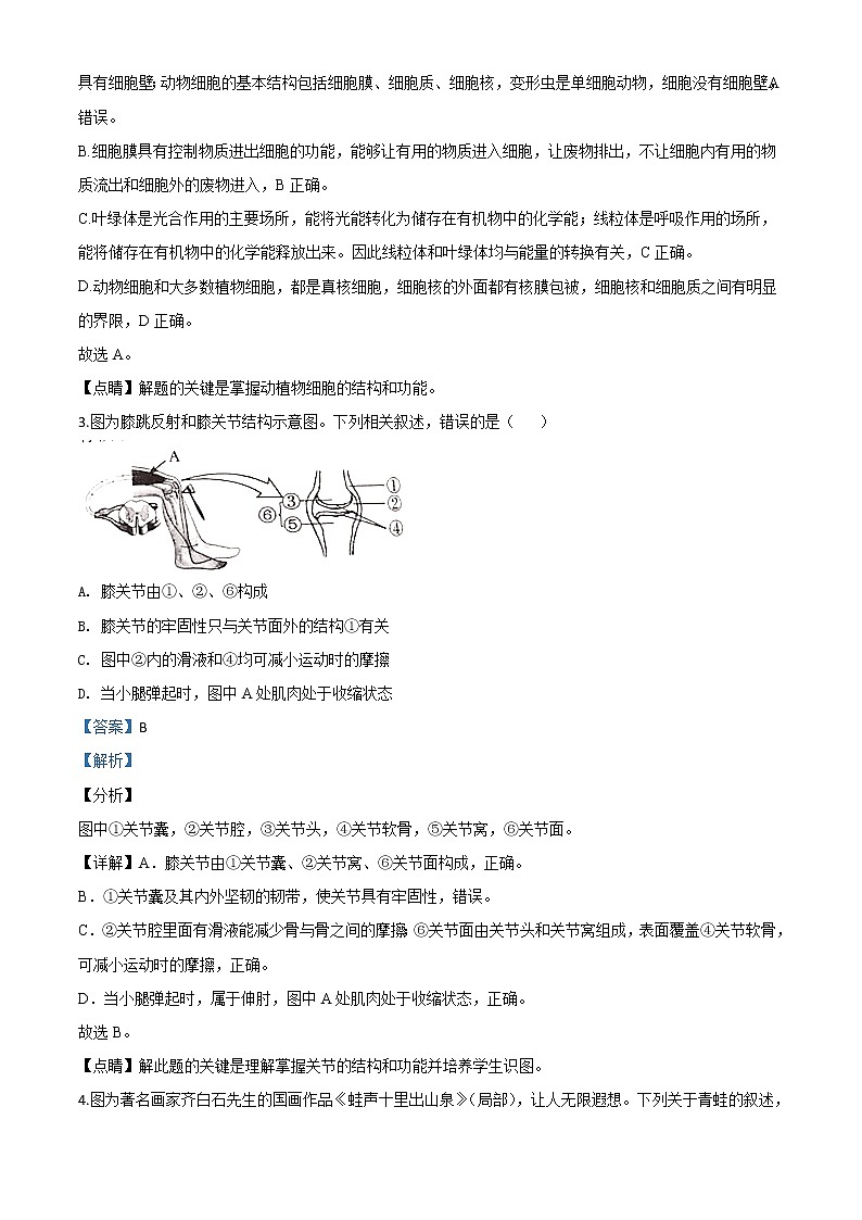 初中生物中考复习 精品解析：四川省内江市2020年中考生物试题（解析版）02