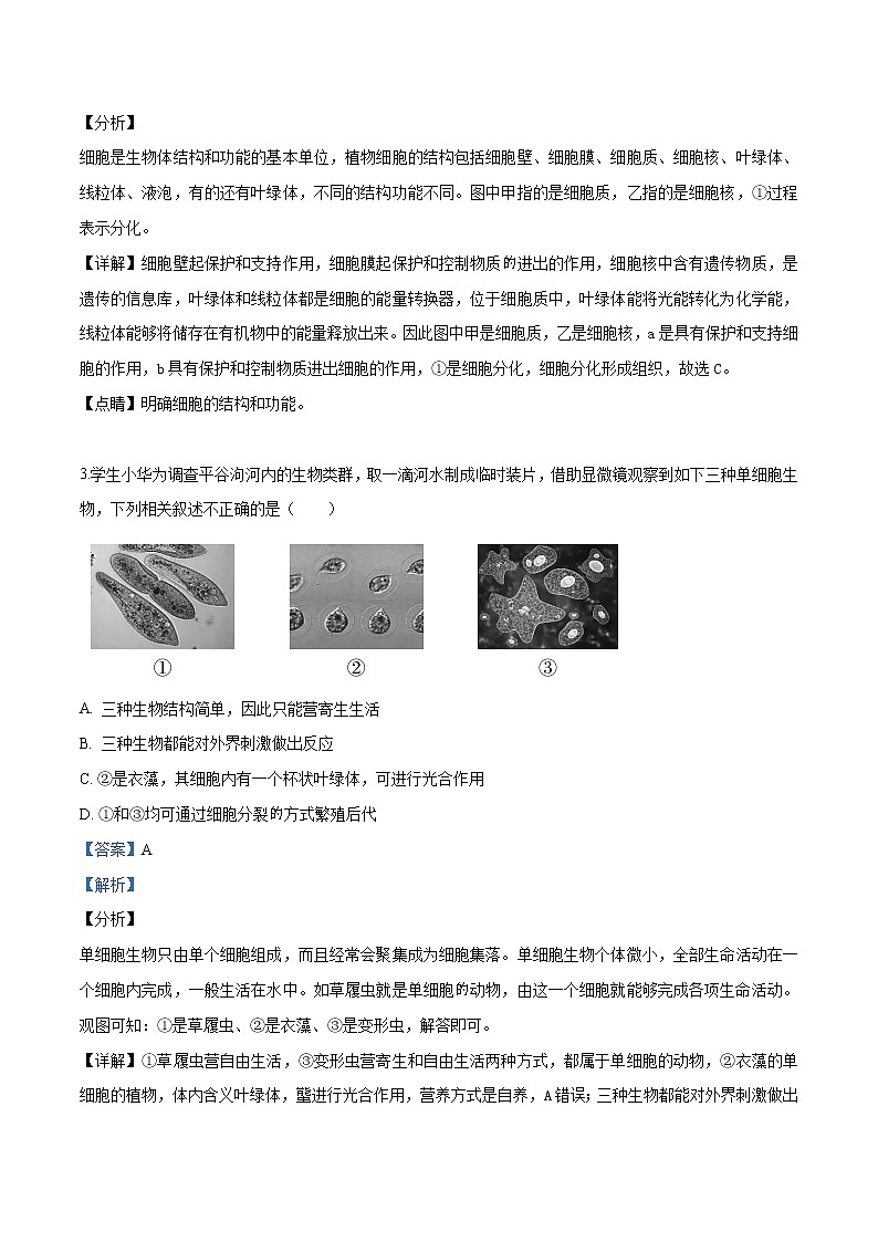 初中生物中考复习 精品解析：北京市平谷区2019届九年级4月统一练习（一模）生物试题（解析版）02