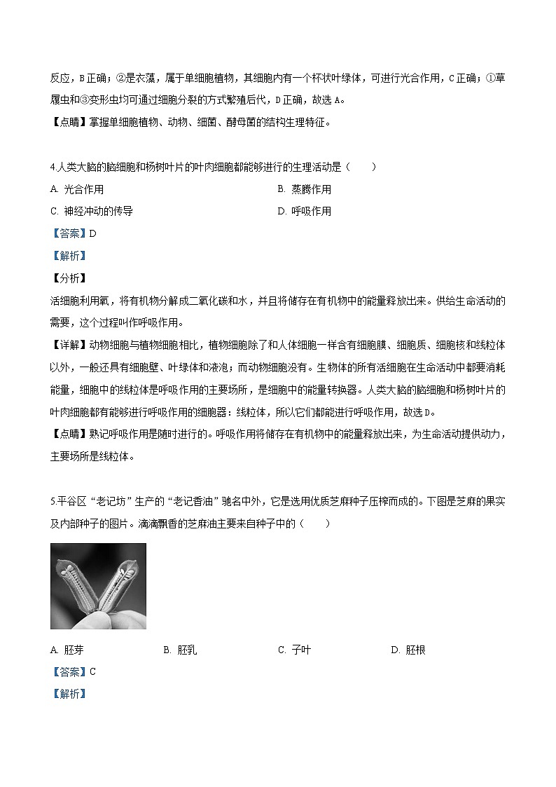 初中生物中考复习 精品解析：北京市平谷区2019届九年级4月统一练习（一模）生物试题（解析版）03