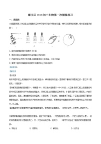 初中生物中考复习 精品解析：北京市顺义区2018届九年级下学期第一次模拟测试生物试题（解析版）