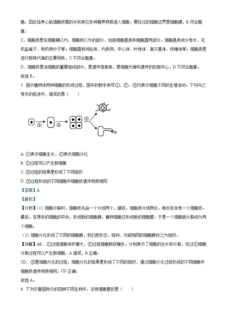 初中生物中考复习 精品解析：河北省石家庄市2022年会考生物试题（解析版）03