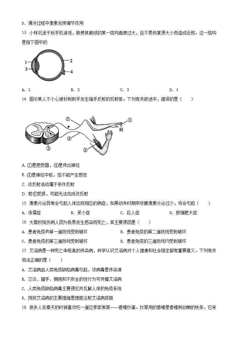 初中生物中考复习 精品解析：河北省石家庄市2022年会考生物试题（原卷版）03