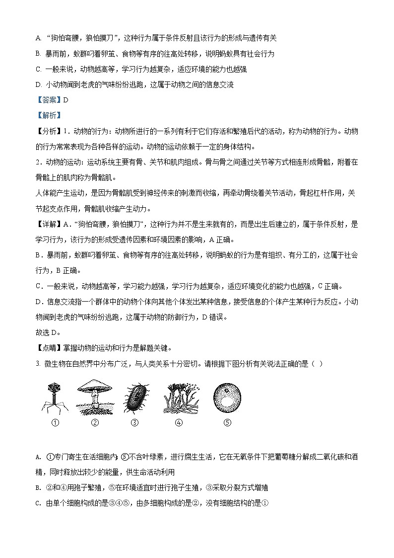初中生物中考复习 精品解析：内蒙古呼和浩特市2021年会考生物试题（解析版）02