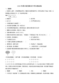 初中生物中考复习 精品解析：四川省资阳市2020年中考生物试题（原卷版）