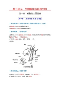 初中生物中考复习 考点01  动物的主要类群（无脊椎动物）-【考点聚焦】2022年中考生物知识手册速查（人教版）