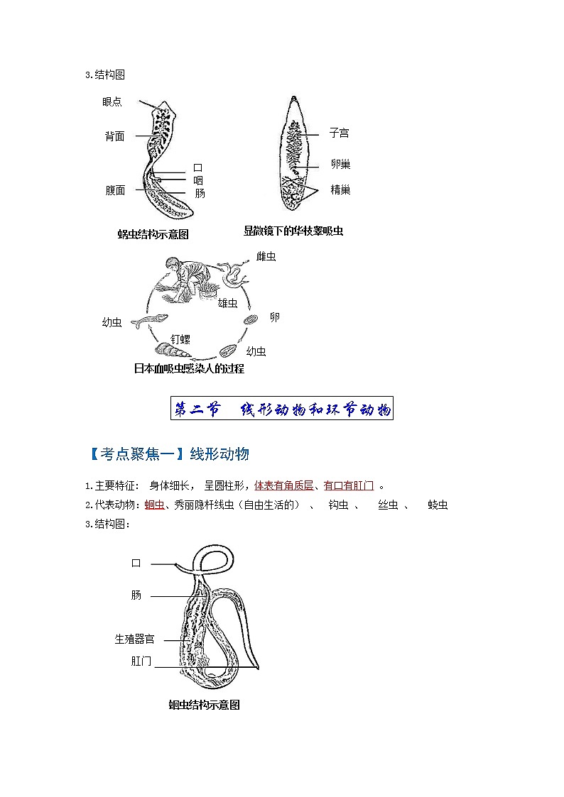 初中生物中考复习 考点01  动物的主要类群（无脊椎动物）-【考点聚焦】2022年中考生物知识手册速查（人教版）02