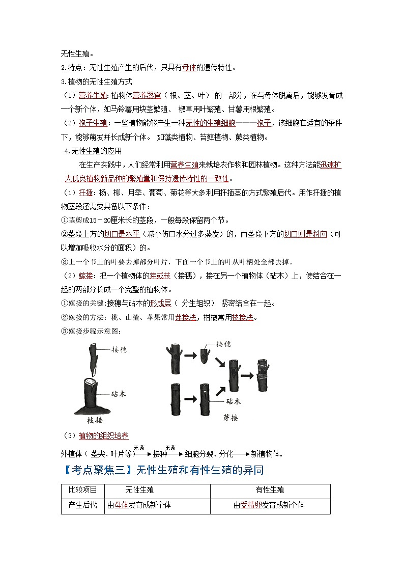 初中生物中考复习 考点01  生物的生殖和发育-【考点聚焦】2022年中考生物知识手册速查（人教版）02