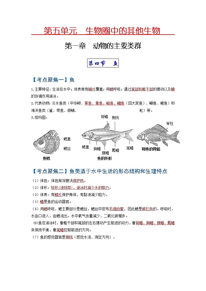 初中生物中考复习 考点02  动物的主要类群（脊椎动物）-【考点聚焦】2022年中考生物知识手册速查（人教版）01