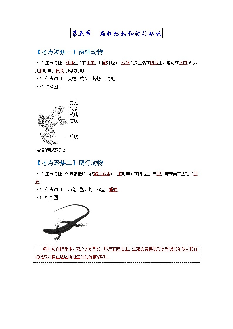 初中生物中考复习 考点02  动物的主要类群（脊椎动物）-【考点聚焦】2022年中考生物知识手册速查（人教版）02