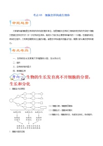 初中生物中考复习 考点03  细胞怎样构成生物体（考点详解）-备战2021年中考生物考点微专题