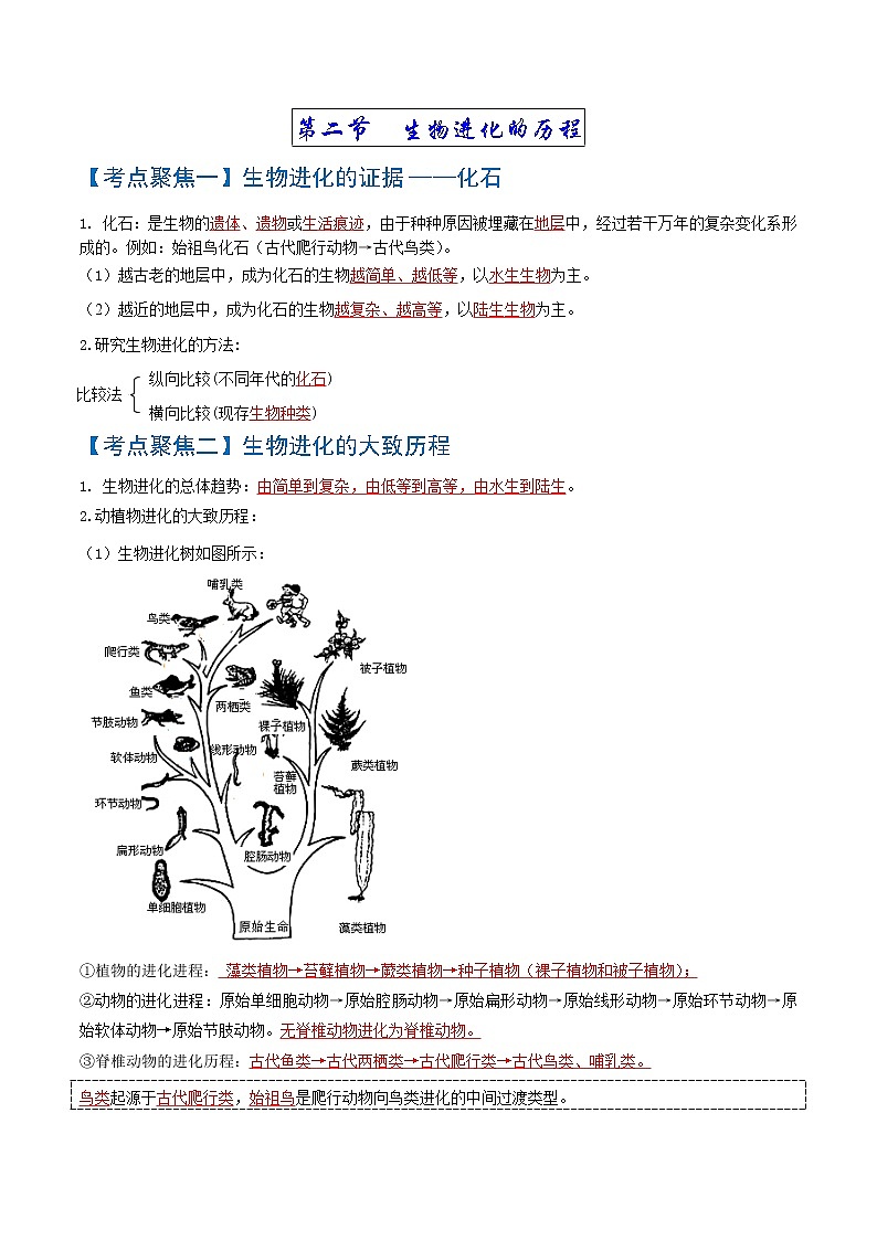 初中生物中考复习 考点03  生命起源和生物进化-【考点聚焦】2022年中考生物知识手册速查（人教版）02
