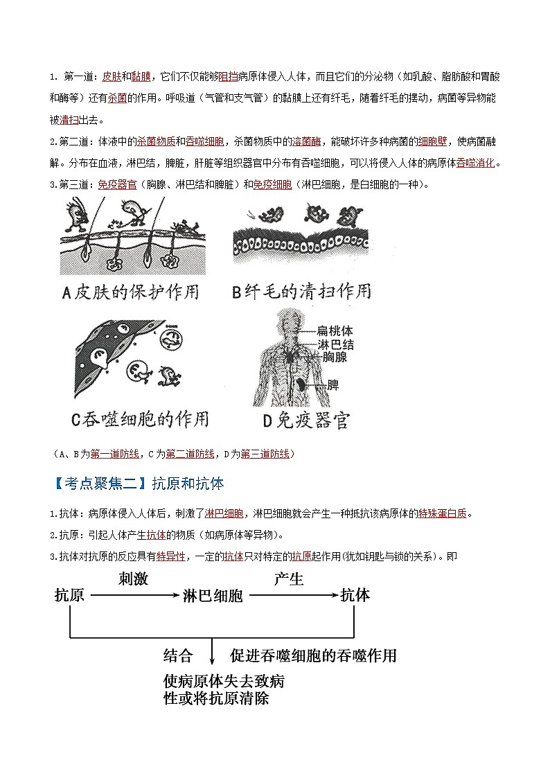 初中生物中考复习 考点04  传染病和免疫-【考点聚焦】2022年中考生物知识手册速查（人教版）第2页