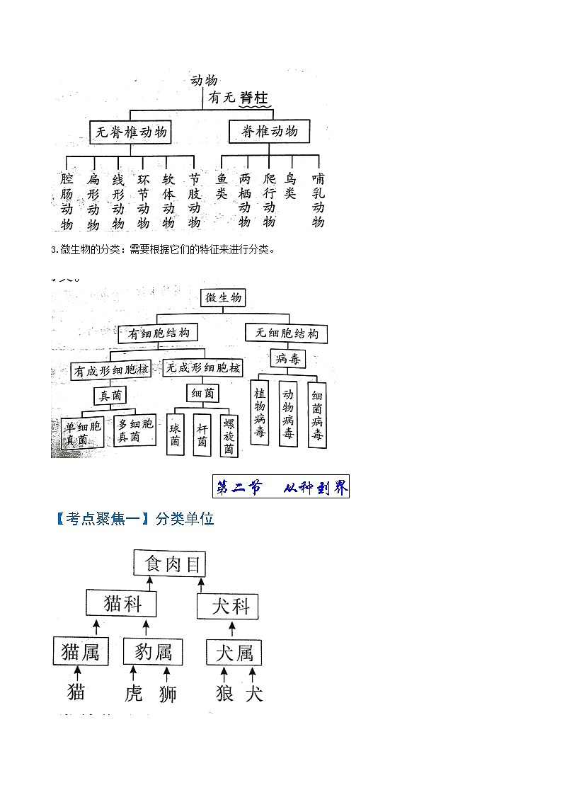 初中生物中考复习 考点05  生物的多样性及其保护-【考点聚焦】2022年中考生物知识手册速查（人教版）02
